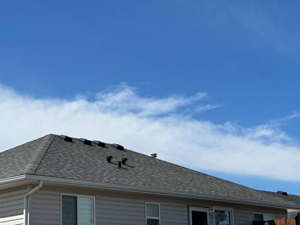 Best 4 Ply Roofing  in Shakopee, MN